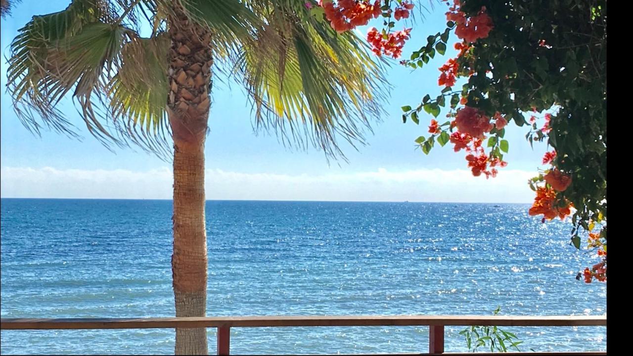 Mi Capricho Beachfront- 3-7 Apartment With Sea Views Sitio de Calahonda Luaran gambar